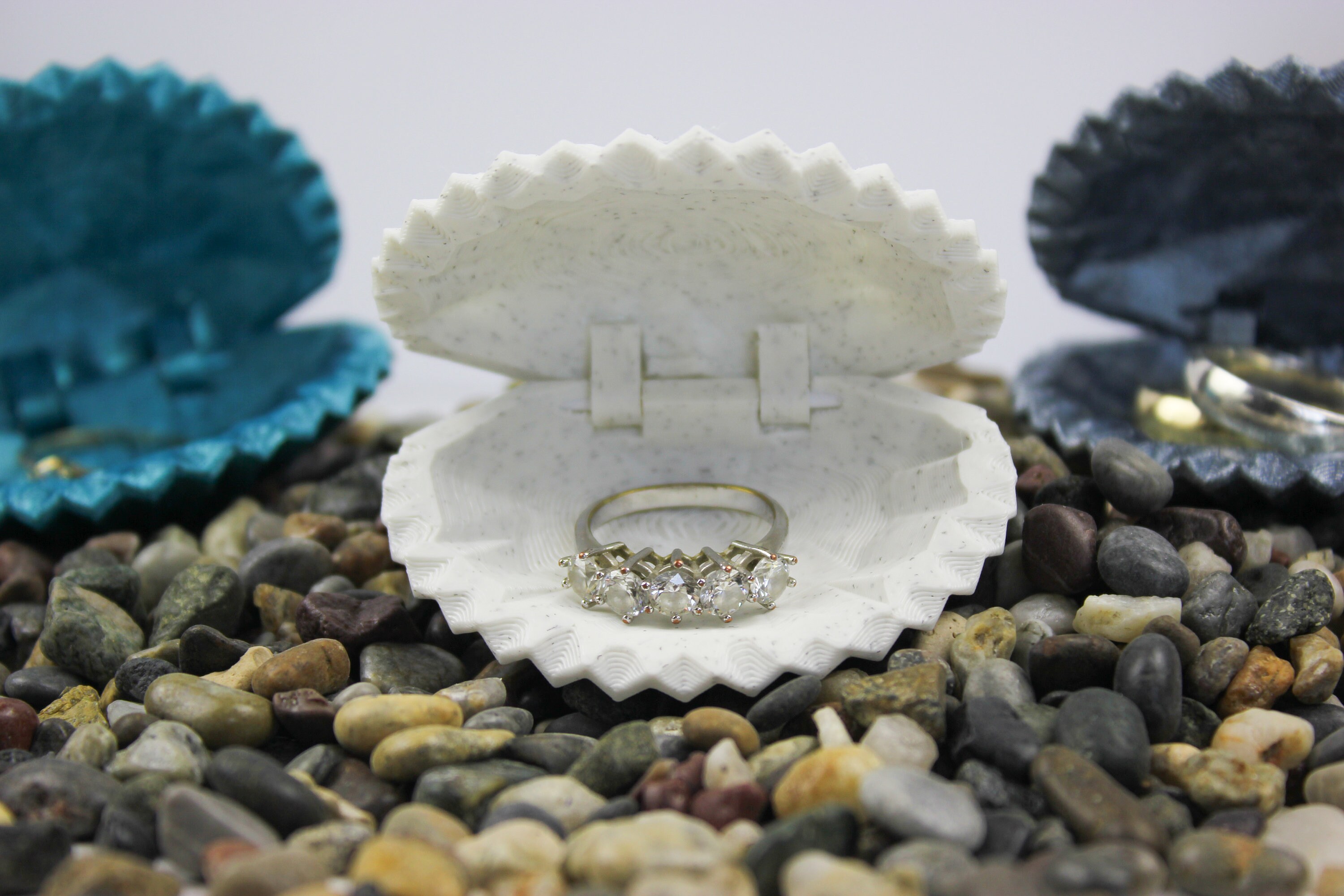 3D Printed Sea Shell Ring Box Different Color Options Ring Etsy