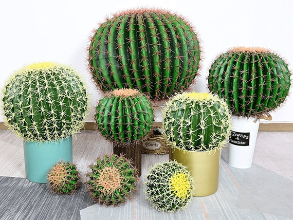 Künstlicher Kaktus mit Stacheligen, Faux Wüste Opuntia Humifusa, Haus  Tropical Floral, Ball Form Pflanzendekor, Garten Grün Arrangement - .de
