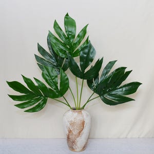white veins philodendron Philodendron gloriosum. – Let's Grow Florida main image 0