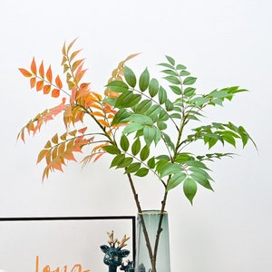 Fake Chinese Toon Branch, Toona Sinensis Plant, Mahogany Tree, Wisteria Leaves, Artificial Flower Craft, Home Greenery Decor, Wedding Floral
