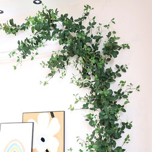 Könnte beinhalten: Künstliche grüne Rebe mit kleinen Blättern, die eine weiße Wand hinunterfallen. Die Rebe ist so angeordnet, dass sie ein natürliches, dekoratives Element bildet. Das Bild zeigt auch zwei gerahmte Kunstwerke und ein Klimagerät.