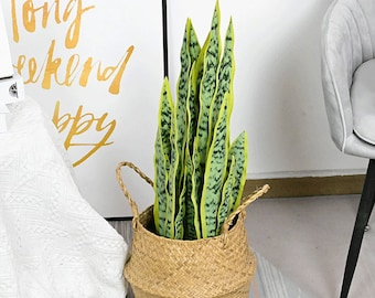 Sansevieria Artificial Plant, Faux Tropical Snake Plant, Indoor Greenery Ornament, Home Floral Decor, Floor Vase Filler, for Outdoor Garden