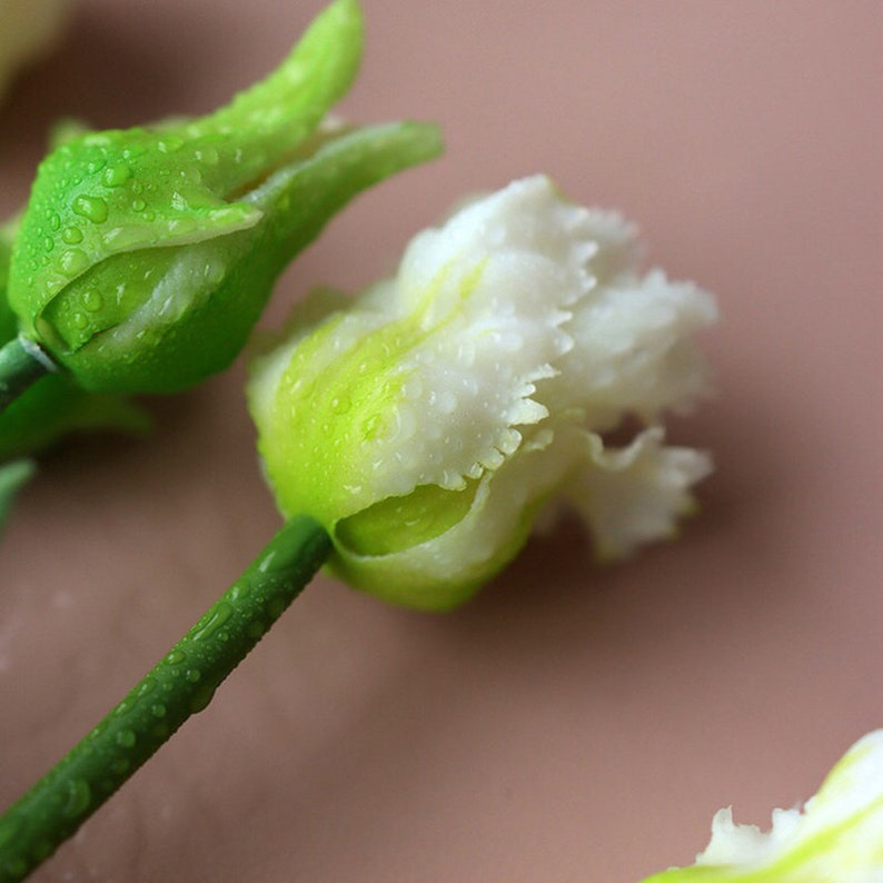 Op de afbeelding: Close-up van een witte bloemknop met groene kelkbladeren en dauwdruppels. De bloem is gedeeltelijk open, waardoor de witte bloemblaadjes zichtbaar worden. De achtergrond is zacht roze.