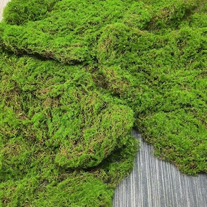 Artificial Moss, Fake Turf Craft, Green Lawn, Window Faux Grass Decor, Wall Decoration, for Garden Landscaping, Home Wedding Floral