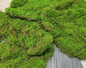 Artificial Moss BLACK Preserved Reindeer Moss for Air - Etsy