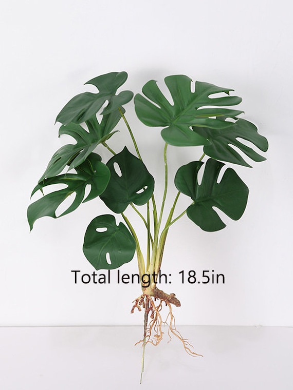 Monstera Deliciosa Pflanze mit Wurzeln, Fake Tropical Greenery Handwerk,  Knstliche Blumen, Home Floral Decor, Hochzeit Party Arrangement Plant -  Etsy.de