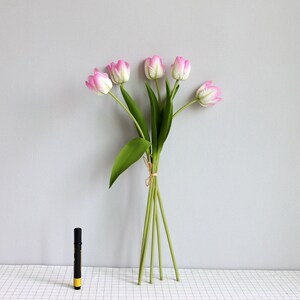 May include: A bouquet of five pink and white tulips with green stems and leaves.