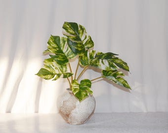Artificial Variegated Monstera Leaf Bush, Faux Tropical Foliage Stem, Split Leaf Plant Green White Home Floral Decor, Greenery Arrangement