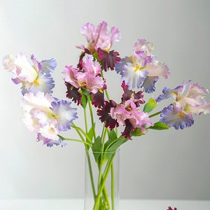 May include: A bouquet of purple, pink and white irises in a clear glass vase. The irises have ruffled petals and are arranged in a vase on a white surface.