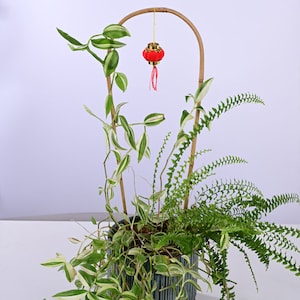 May include: A green and white striped plant with a fern growing in a pot. A red and gold lantern hangs from a bamboo arch over the plants.