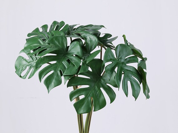 Mini Monstera Minima Laub Bouquet, geflschte Raphidaphora Tetrasperma  Blatt, knstliche Blume Handwerk, Haus Grn Dekor, Hochzeit Blumen Pflanze  - Etsy sterreich