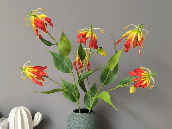 derilla kissen Derila Memory-Schaum-Kissen Test – Erfahrungen & Bewertung Sideboard LIMFJORDEN 2 Türen