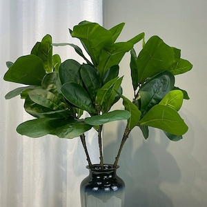 May include: A bunch of artificial fiddle leaf fig branches with green leaves in a dark blue vase.