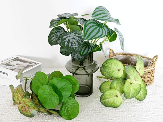 light green pothos Neon Pothos Indoor Plant in a 4" Pot
