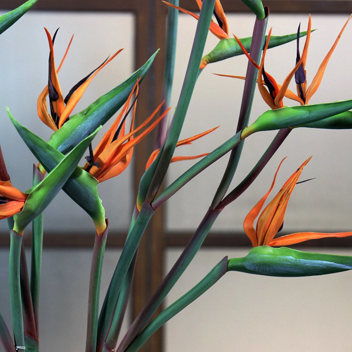 Bird of Paradise Stem Artificial Flower Strelitzia Nicolai Etsy