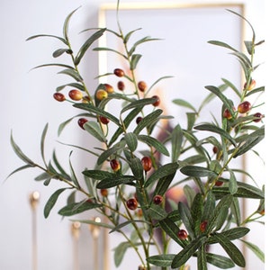 Può includere: Ramo di ulivo artificiale con foglie verdi e piccole olive rosse. Il ramo è perfetto per aggiungere un tocco di natura a qualsiasi spazio.