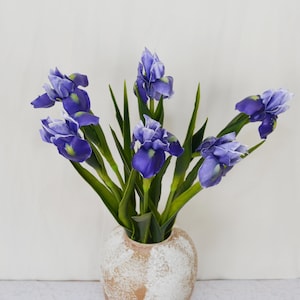 May include: A display of artificial iris flowers in a beige vase. The flowers are a deep purple with green stems and leaves. The vase has a textured, speckled finish, giving a natural appearance.