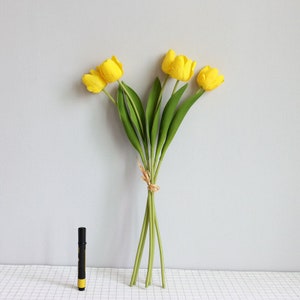 May include: A bouquet of five yellow tulips with green stems tied together with twine. The tulips are arranged in a fan shape.