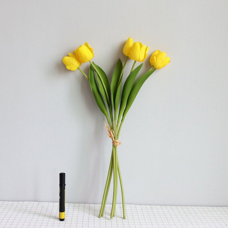 May include: A bouquet of five yellow tulips with green stems tied together with twine. The tulips are arranged in a fan shape.