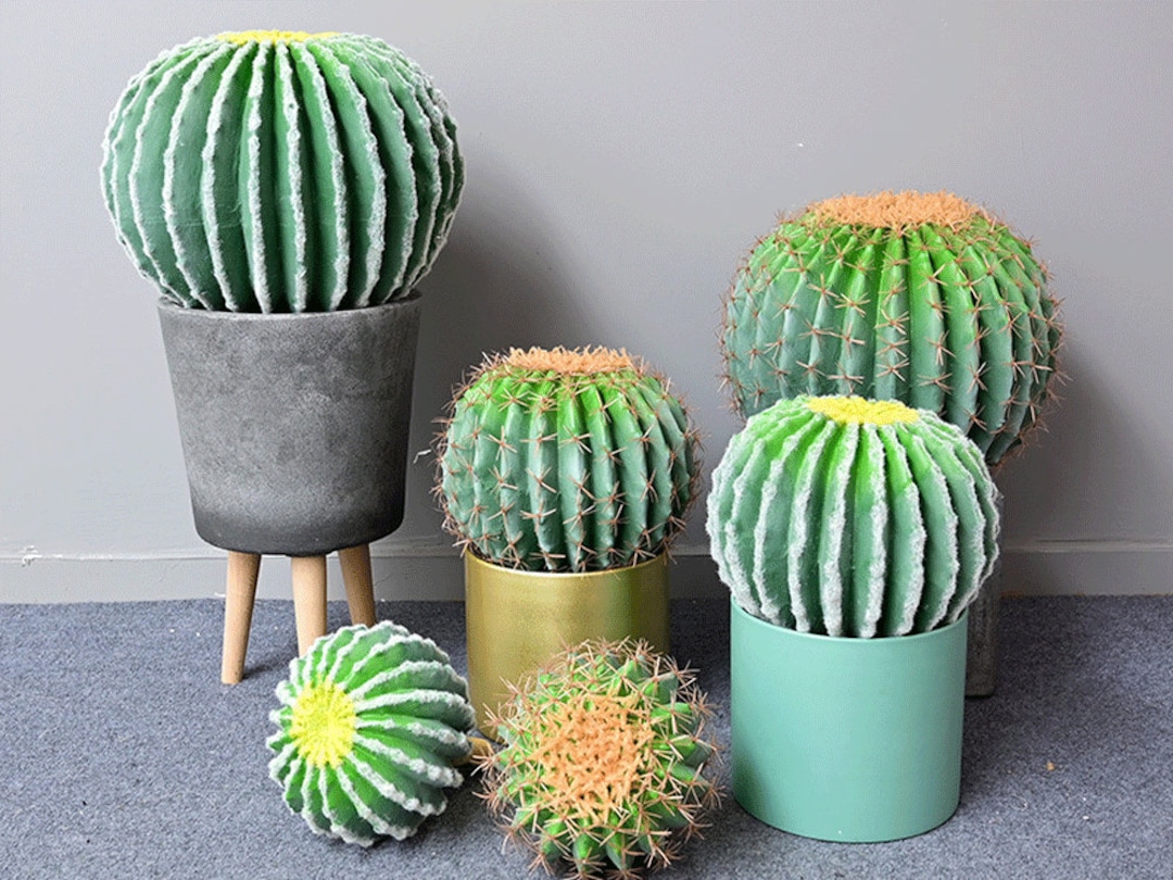 collateral Abroad Implications outdoor artificial desert plants