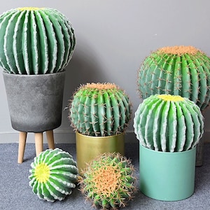 May include: Five artificial cactus plants in different sizes and pots. The cactus plants are green and have brown spines. The pots are gray, green, and gold.