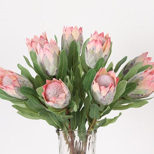 Protea Spray with Leaves, Tropical Flower Craft, Artificial Flowers, Home Floral Decor, Wedding Party Arrangement Centerpiece, for Bouquet