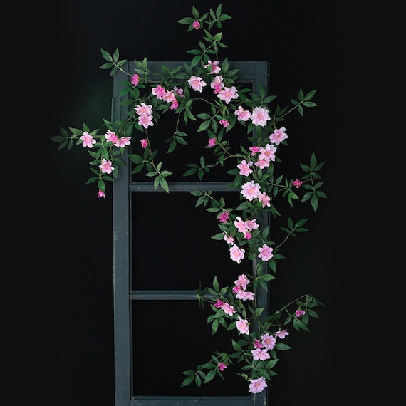 Qualitt Rosa Banksiae Vine mit Blatt Knstliche Kletter Rosenstock und  Knospe Hochzeit Party Bogen Floral Dekor Wand Kulisse Blumengesteck - Etsy  Schweiz
