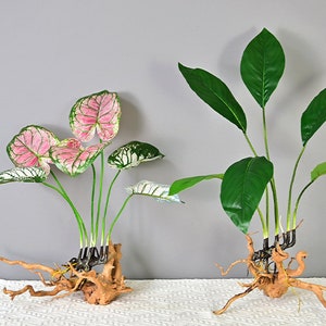 Fake Monstera Deliciosa with Root, Rohdea Japonica, Caladium Bicolor, Lacy Tree Philodendron, Tropical Plant Craft, Home Greenery Decor Gift