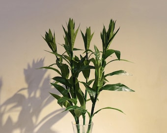 Artificial Lucky Bamboo Stem Faux Dracaena Sanderiana Fake Green Bamboo Stalk Houseplant Vase Greenery Home Table Decor Floor Plant Filler