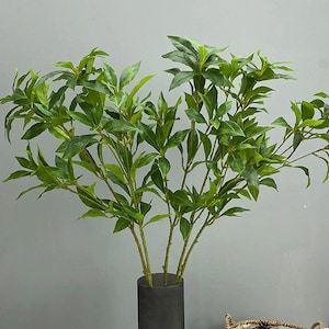 Pieris Japonica Branch with Foliage, Artificial Realistic Twig, Indoor Plant Decoration, Rustic Greenery Craft, Window Floral Arrangement
