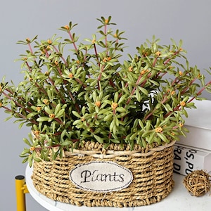 Artificial Purslane with Small Flower Bundle, Fake Portulaca Spray, Rustic Wildflower Craft, Home Floral Decor, Bouquet Wreath Grass Filler