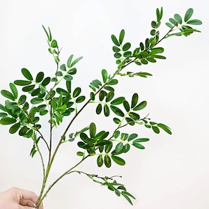 Japanese Pagoda Tree Branch Artificial, Fake Sophora Acacia Leaf, Quality Wisteria Foliage, Home Greenery Decor, Indoor Floral Arrangement