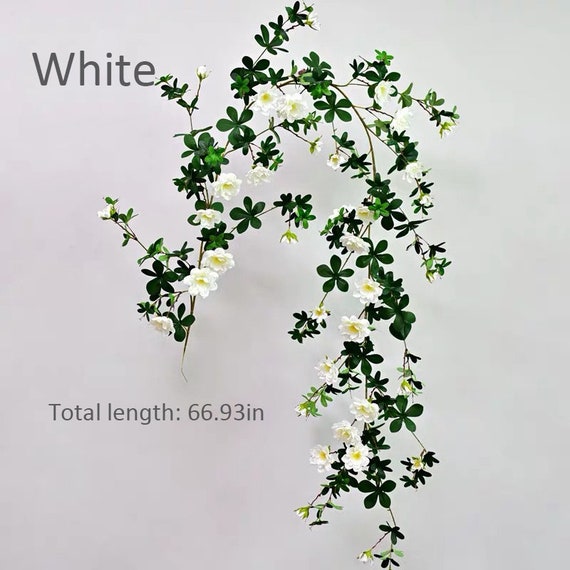 Kleiner Creeper Pfingstrosen mit langer Ranke, Knstliche Trailing  Camellia, realistischer Kletterblumen stiel, Garten Dekor, Party Bogen  Floral DIY - Etsy.de