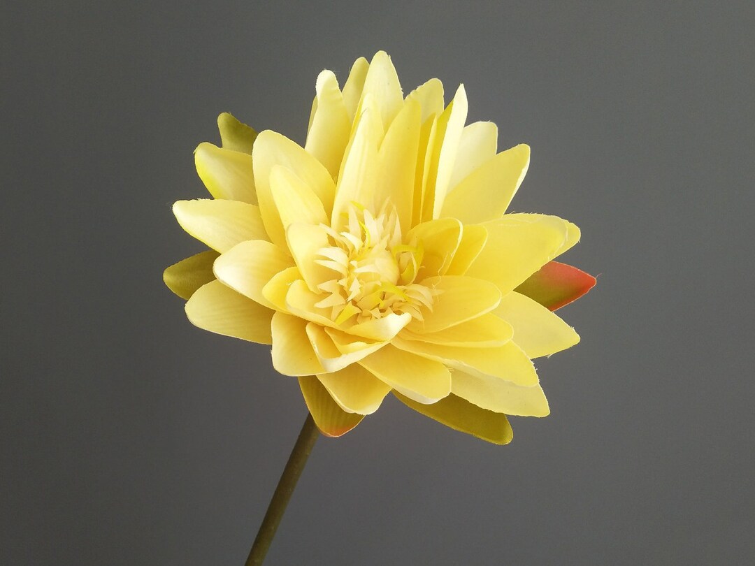 Fake Water Lily Stem, Lotus Flower Crafts, Artificial Flowers, Home