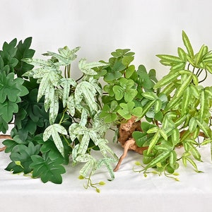 Puede incluir: Tres plantas verdes artificiales con diferentes formas y texturas de hojas. Las plantas están dispuestas sobre una base de madera con raíces.