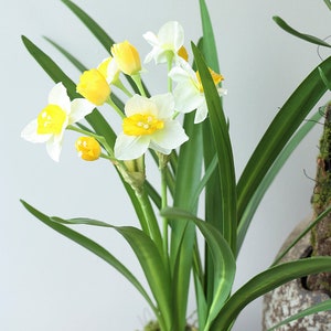 Daffodil Flower Stem with Leaves, Silk Narcissus Plant, Artificial Flower Craft, Home Floral Decor, Wedding Arrangement, Table Centerpiece image 3