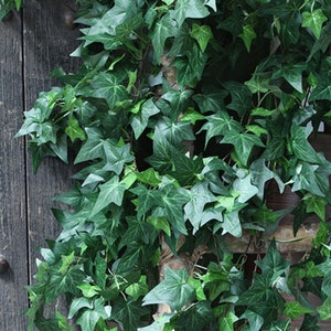 Artificial Ivy Wall Hanging with Rich Foliage, Quality Creeper Vine, Home Fake Leaf Plant Decoration, Wedding Party Arch Floral Arrangement