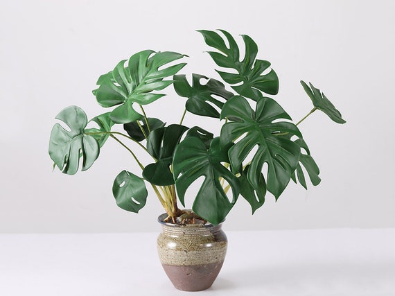 Monstera Deliciosa Plant With Roots, Fake Tropical Greenery Crafts, Artificial  Flowers, Home Floral Decor, Wedding Party Arrangement Plant - Etsy