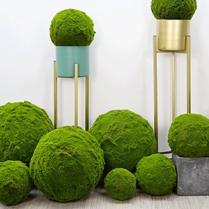 Kunstmatige mosbal, rustiek grasambacht, bruiloftsfeestarrangement, raamplantdecor, binnen buiten groen, tuin bloemenornament
