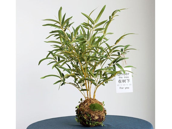 Bamboo Bonsai Artificial Realistic Fern Root Ball Plant Home - Etsy