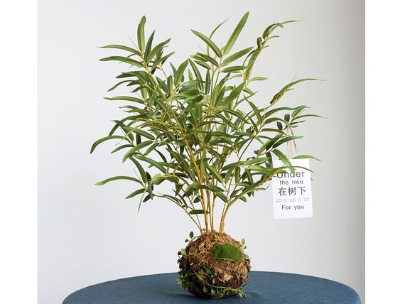 Bamboo Bonsai Artificial, Realistic Fern Root Ball Plant, Home Greenery  Decor, Living Room Floral, Wedding Arrangement, for Outdoor Garden - Etsy