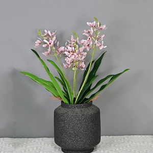 Artificial Orchid Plant with Roots, Faux Phalaenopsis, Realistic Orchid Flower, Decorative Flowering Plant, Home Floral Decor, Wedding Bloom