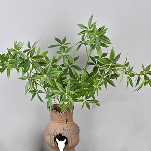以下が含まれることがあります： ユニークなデザインの茶色の陶器の花瓶に、緑の葉がついた植物が複数枝分かれしている