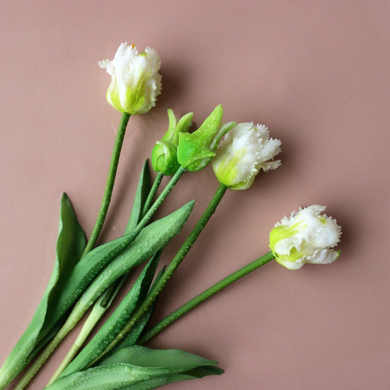 Op de afbeelding: Een boeket witte en groene tulpen met groene stelen en bladeren. De tulpen zijn waaiervormig gerangschikt op een lichtbruine achtergrond.