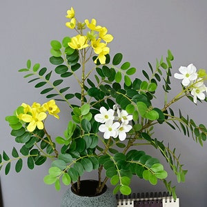 Realistic Locust Flower With Leaves, Real Touch Foliage Branch, Artificial Flower Craft, Home Floral Decor, Wedding Party Plant Arrangement