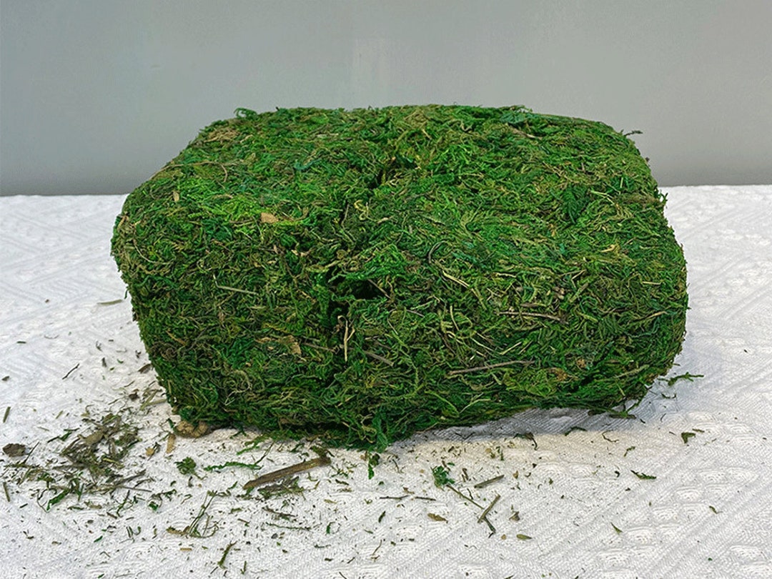 Artificial Moss Grass, Natural Dried Moss, Rustic Green Trim, Pot Plant