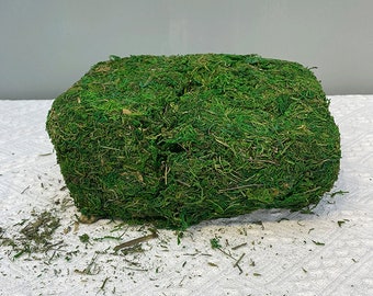 Artificial Moss Grass, Natural Dried Moss, Rustic Green Trim, Pot Plant Decor, Home Greenery Arrangement, Bonsai Moss Filler, for Garden