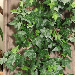 Artificial Ivy Long Vine, Faux Climbing Creeper, Trailing Foliage Greenery, Wall Hanging Plant, Home Floral Decor, Wedding Party Leafy Stem