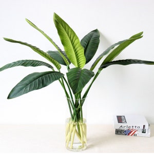 Arranjo de haste de palma artificial de qualidade, casa, decoração falsa de alocasia, falsa monstera deliciosa, strelitzia, nicolai, folhas, samambaia selvagem, escolha de planta