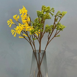Artificial Kangaroo Paw Stem, Quality Anigozanthos Branch, Rustic Flower Decoration, Living Room Sprig Arrangement, Dining Table Vase Filler
